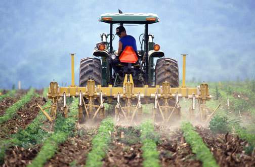 Automazione Agricola